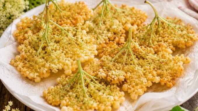 ¡CÓMO HACER FLORES FRITAS LLAMADAS – simples, rápidas y deliciosas!