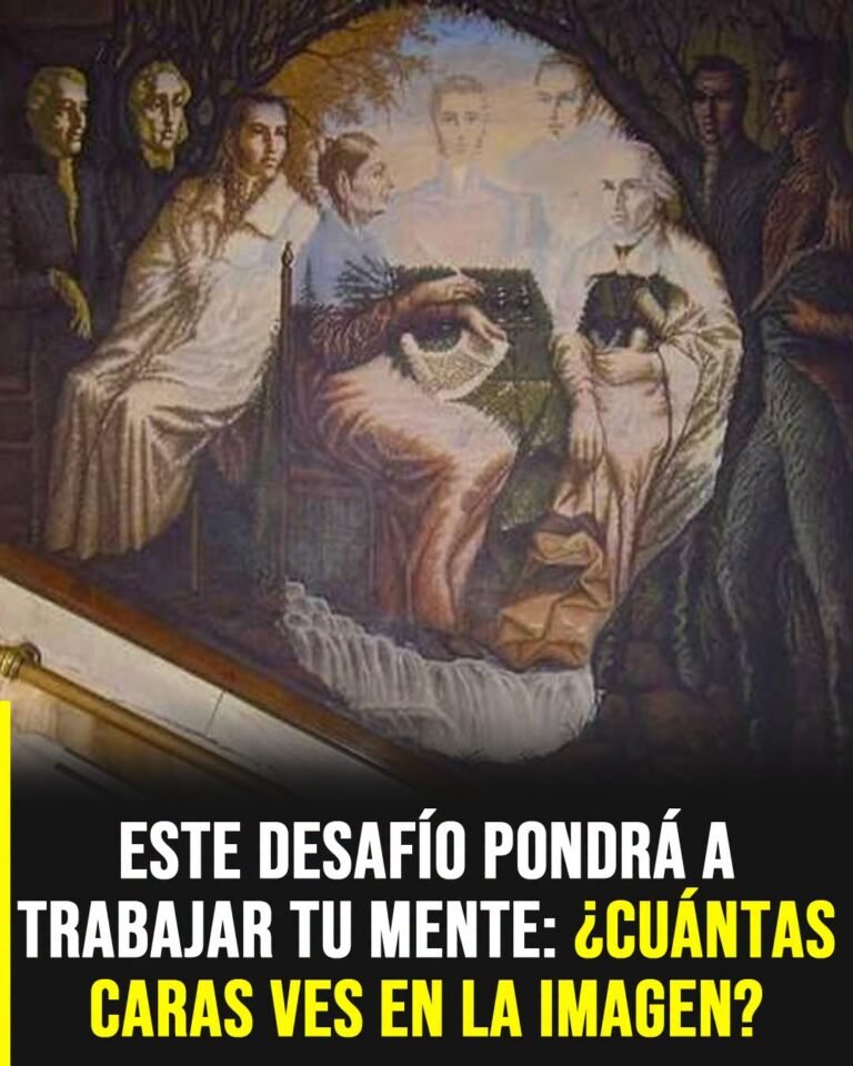Este desafío pondrá a trabajar tu mente: ¿Cuántas caras ves en la imagen?