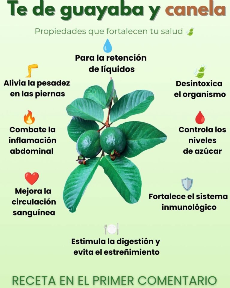 Las hojas de guayaba y canela y sus maravillas