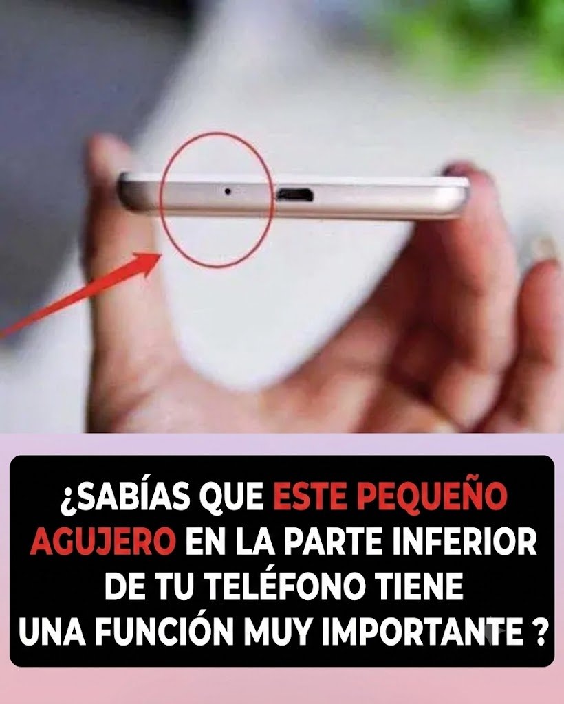 Descubre el misterio que se esconde tras este pequeño agujero.