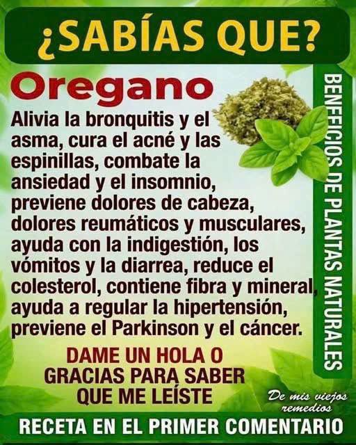 Infusión de Canela, Ajo y Orégano: El Poderoso Remedio Natural que Fortalece tu Salud Desde Dentro