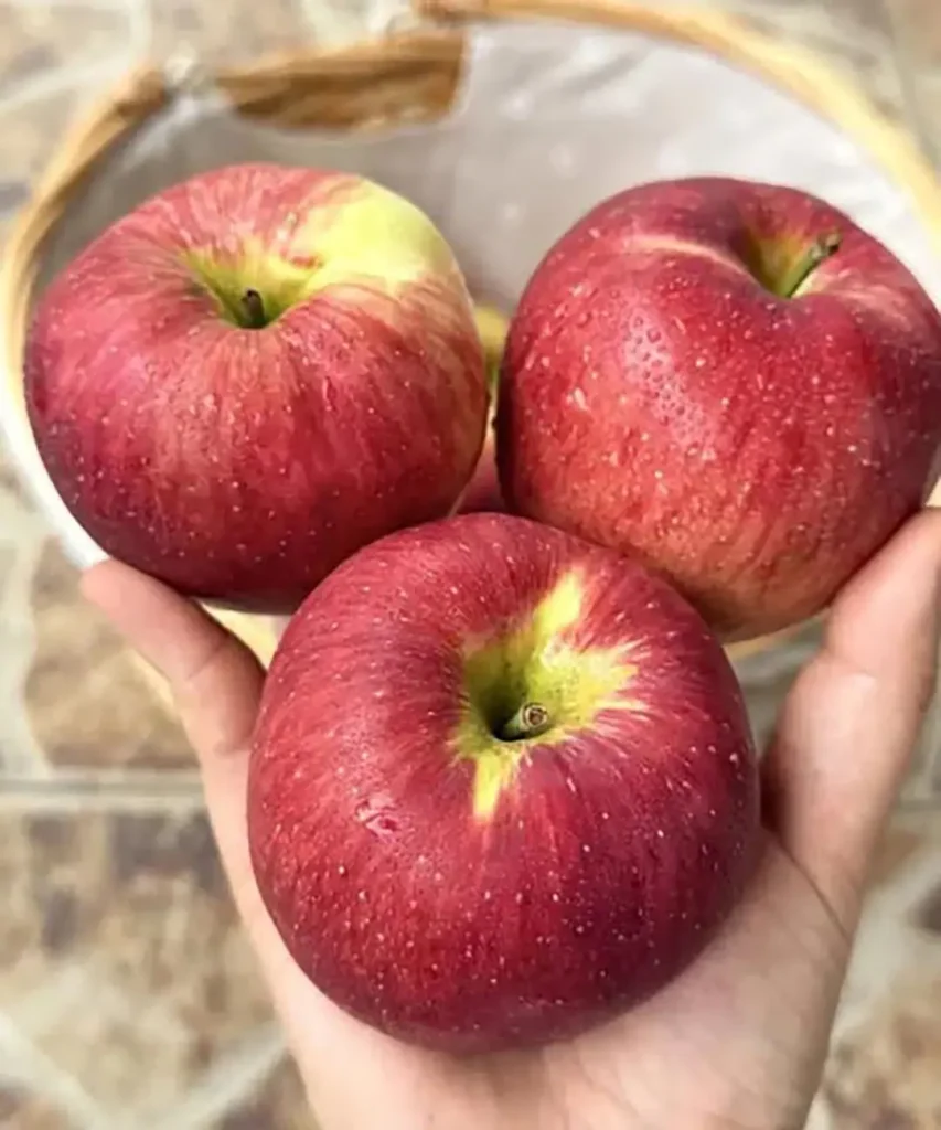 ¿Cuáles son los beneficios de las manzanas?